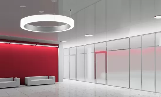 Avian Influenza PCR Test in Cats