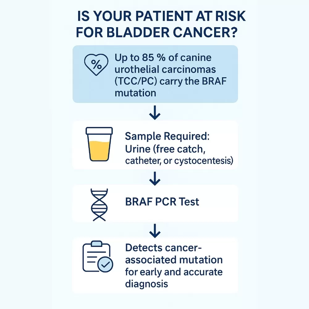 Simple Workflow. Powerful Answers.