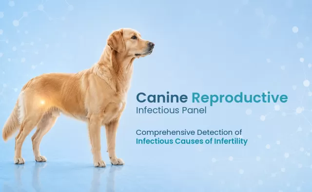 Canine Reproductive Infectious Panel 