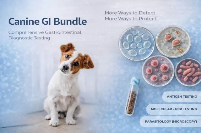 Fecal Gastrointestinal Bundle for Dogs