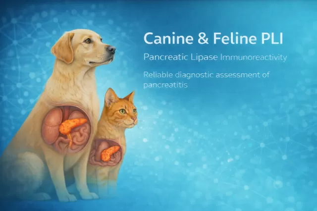 Feline & Canine PLI